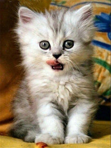 Gatitos - Diamond Painting