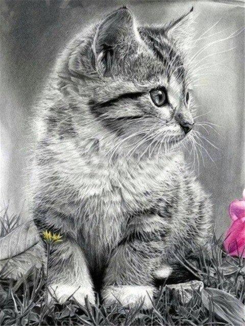 Gatitos - Diamond Painting