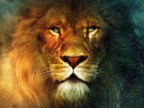 Leones - Diamond Painting